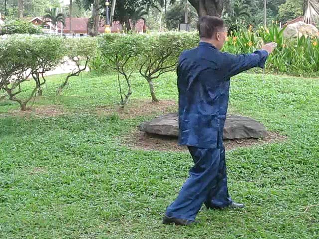 Wu Yu Xiang Style Taijiquan